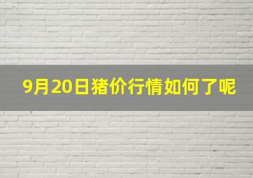 9月20日猪价行情如何了呢