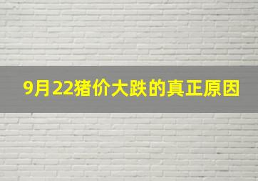 9月22猪价大跌的真正原因