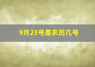 9月23号是农历几号