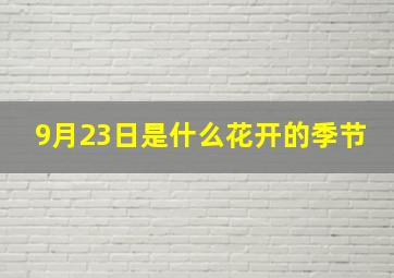 9月23日是什么花开的季节