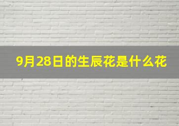 9月28日的生辰花是什么花