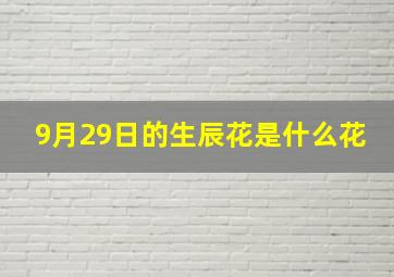 9月29日的生辰花是什么花