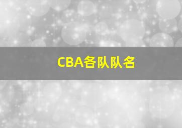 CBA各队队名