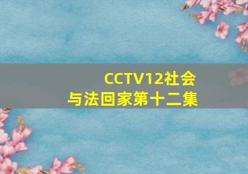 CCTV12社会与法回家第十二集