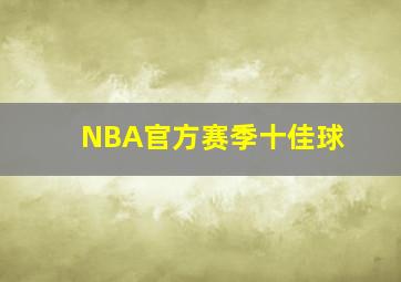 NBA官方赛季十佳球