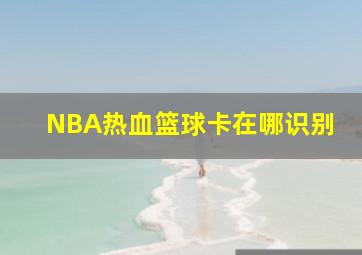 NBA热血篮球卡在哪识别