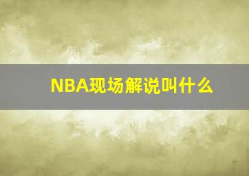 NBA现场解说叫什么