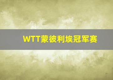 WTT蒙彼利埃冠军赛