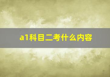 a1科目二考什么内容