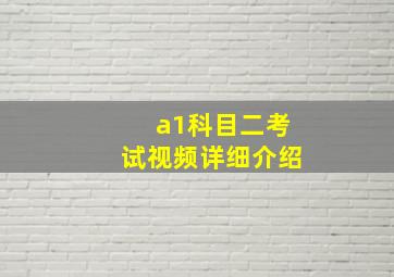 a1科目二考试视频详细介绍