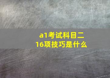 a1考试科目二16项技巧是什么