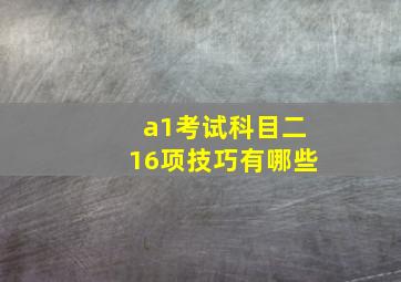 a1考试科目二16项技巧有哪些