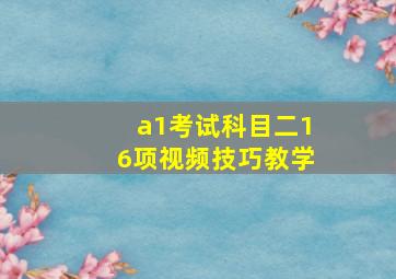 a1考试科目二16项视频技巧教学