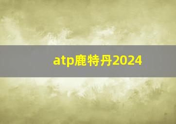 atp鹿特丹2024