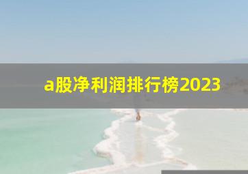 a股净利润排行榜2023