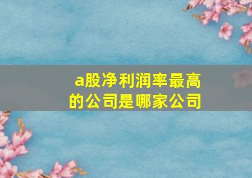 a股净利润率最高的公司是哪家公司