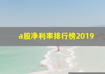 a股净利率排行榜2019