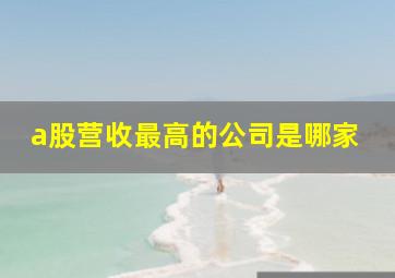 a股营收最高的公司是哪家