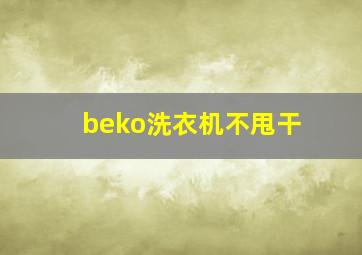 beko洗衣机不甩干