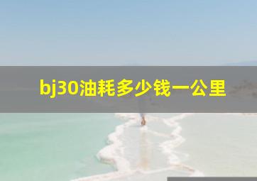 bj30油耗多少钱一公里