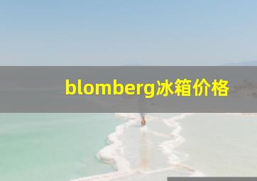 blomberg冰箱价格