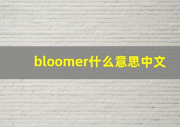 bloomer什么意思中文