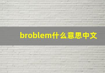 broblem什么意思中文