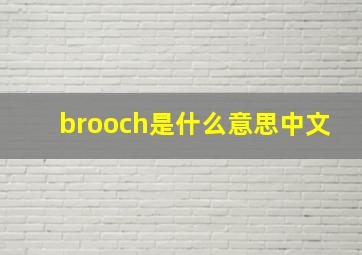 brooch是什么意思中文