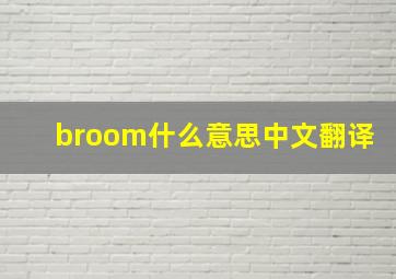 broom什么意思中文翻译