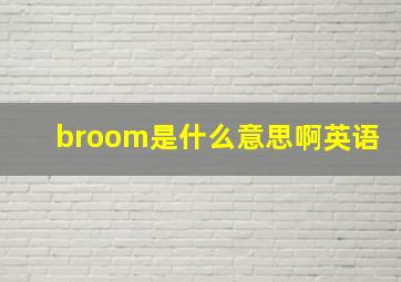 broom是什么意思啊英语