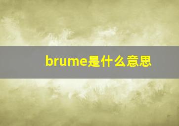 brume是什么意思