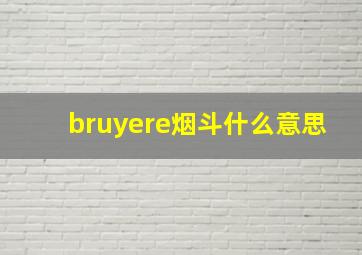 bruyere烟斗什么意思