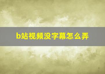 b站视频没字幕怎么弄