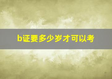 b证要多少岁才可以考