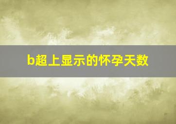 b超上显示的怀孕天数