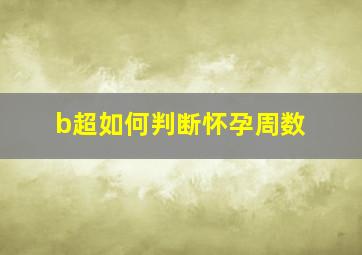 b超如何判断怀孕周数