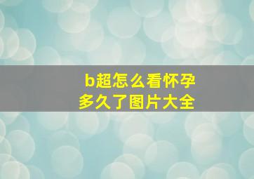 b超怎么看怀孕多久了图片大全