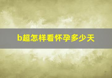 b超怎样看怀孕多少天