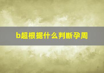 b超根据什么判断孕周