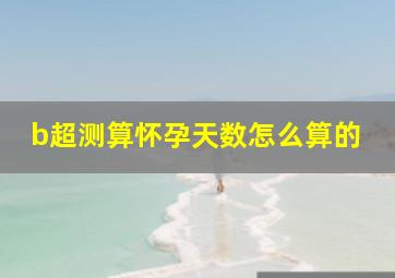 b超测算怀孕天数怎么算的