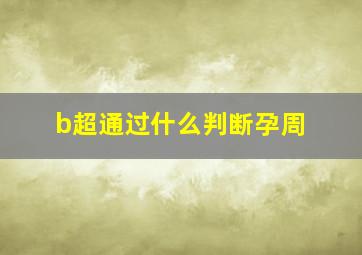 b超通过什么判断孕周