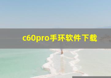 c60pro手环软件下载