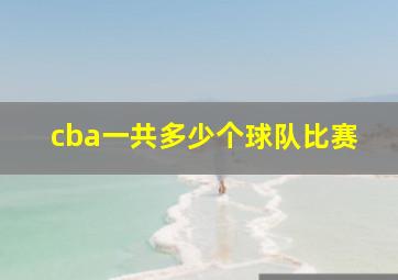 cba一共多少个球队比赛