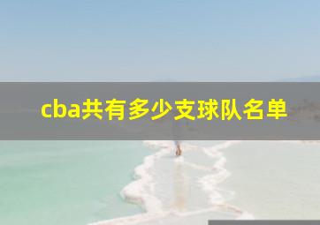 cba共有多少支球队名单