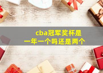 cba冠军奖杯是一年一个吗还是两个