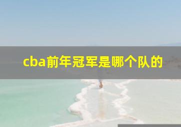 cba前年冠军是哪个队的