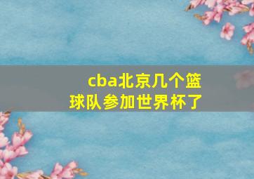 cba北京几个篮球队参加世界杯了