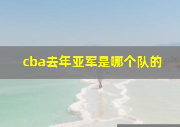 cba去年亚军是哪个队的