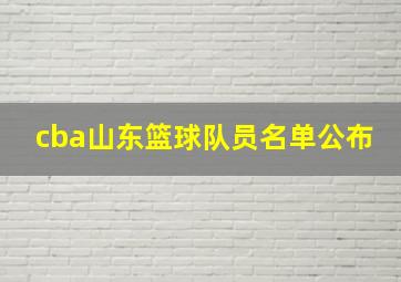 cba山东篮球队员名单公布