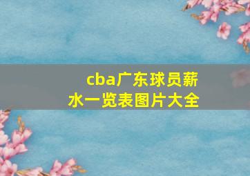 cba广东球员薪水一览表图片大全